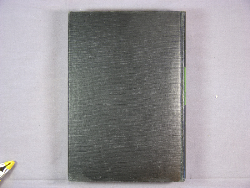 Back